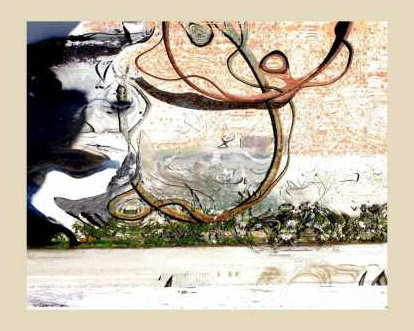 'lariats' abstact photograph