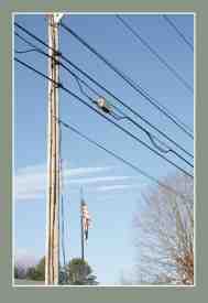 PowerFlag photograph)